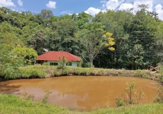 Cód. 207 Chácara com Casa Canela Gaúcha.
